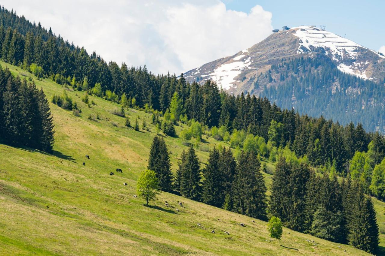 Appartements Bernhofer Saalbach-Hinterglemm Zewnętrze zdjęcie